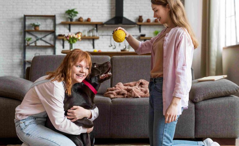 Is Dog Daycare Right for Your Dog? 6 Signs the Answer Is Yes